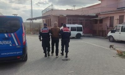 Firari şahıs jandarma ekiplerince yakalandı