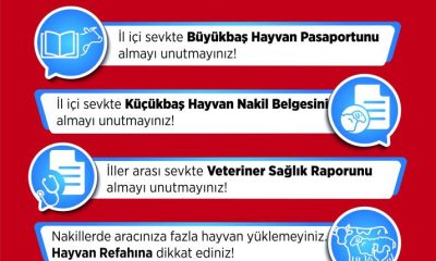 Hayvan hareketleri kontrol altında
