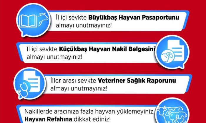 Hayvan hareketleri kontrol altında