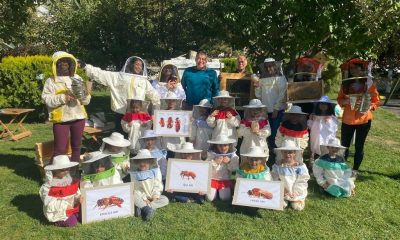 Anaokulu öğrencileri arıların çalışma sistemini yakından inceledi