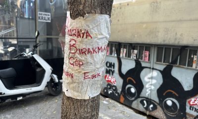 Bu uyarı da çöplere engel olamadı