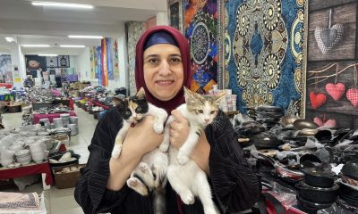 50 yaşında sosyal medya ile hayvanlara yardım eli uzatıyor