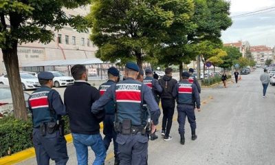 Tefecilik yapan baba ve 2 oğluna jandarmadan operasyon