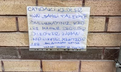 Mahsur kaldığı sanılan kedileri kurtarmak isteyenlere bilgilendirme yazısı astı