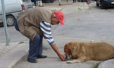 22 senedir beslediği kedilerin ve köpeği ‘Tombik’in mamasını eksik etmiyor