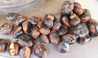 Kış ayları geldi pişmiş kestane tezgaha düştü