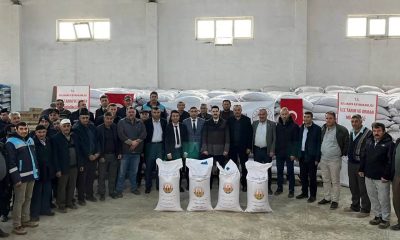 Aslanapa’da 386 çiftçiye yüzde 50 hibeli 65 ton 550 kilo buğday tohumu dağıtıldı