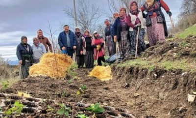 Kütahya’da gıda ormanı çalışması