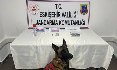 Jandarmadan uyuşturucu operasyonu