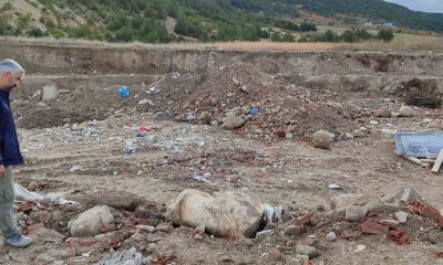 Hafriyat çalışmalarında tarihi heykel bulundu