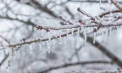 Eskişehir’de buzlanma ve don bekleniyor