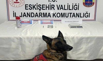 Eskişehir jandarma ekiplerinden 8 ayrı uyuşturucu operasyonu