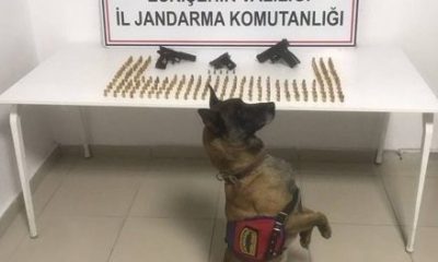 Rize’den Eskişehir’e getirilen kaçak silahlar ve mermiler ele geçirildi