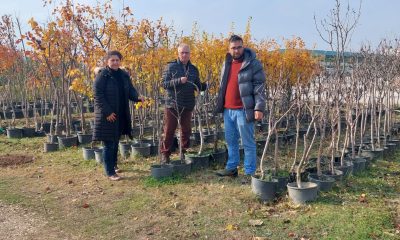Eskişehir’de fide ve fidan satış yerleri denetleniyor