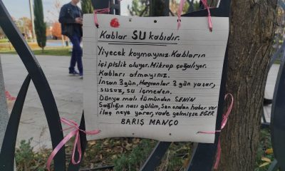 Eskişehir’de hayvanları korumak için Barış Manço’dan alıntı yaptılar