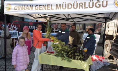 Yeni Yıla Fidan Dikerek Girin