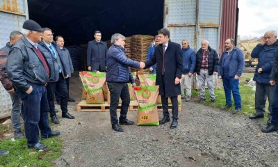 Çiftçilere yüzde elli hibe destekli 26 ton buğday tohumu dağıtıldı