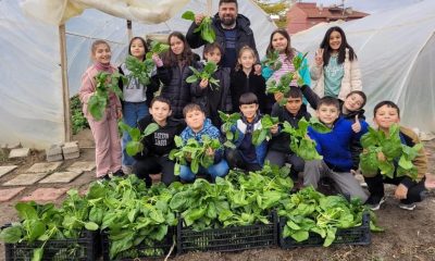 Altıntaş’ta Ispanak Hasadı Şenliği