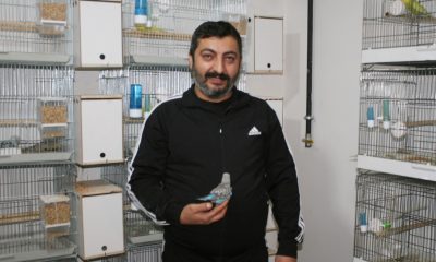 Hobi olarak başladılar normallerinden 3 kat büyükler