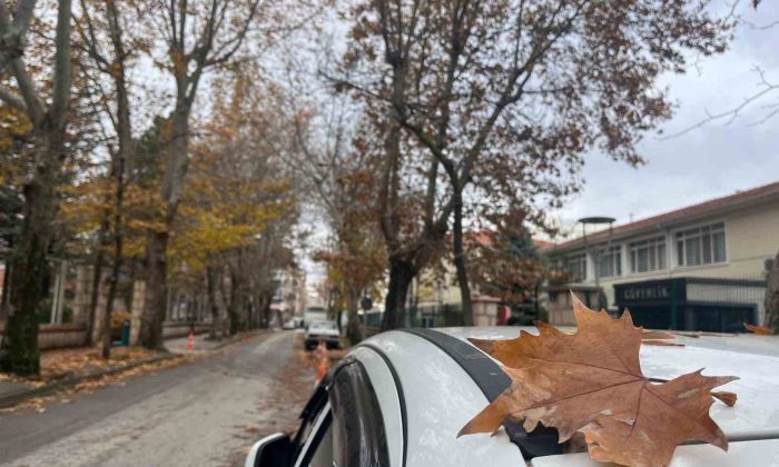 Sokaktaki sonbahar manzarası mest etti