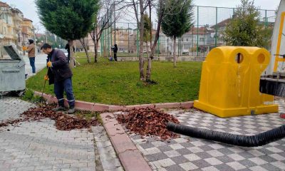 Dökülen yapraklar titizlikle toplanıyor