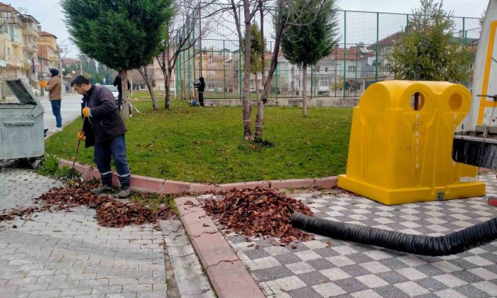 Dökülen yapraklar titizlikle toplanıyor