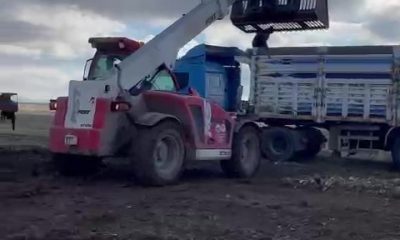 Başkan Alp’ten pancar üreticisine büyük destek