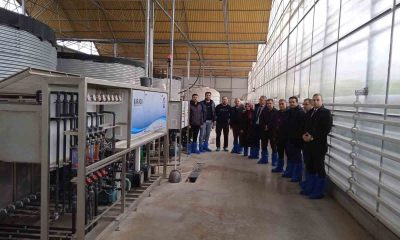 Sandıklı’da seralarda kullanılan su tekrar değerlendirilecek