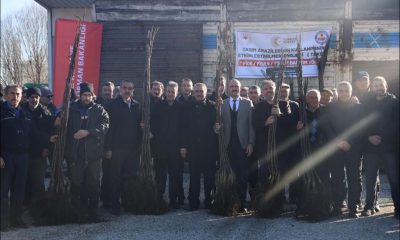 Çiftçilere 12 bin 500 adet ceviz fidanı verildi