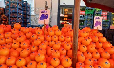 Hatay portakalı tezgahta yerini aldı