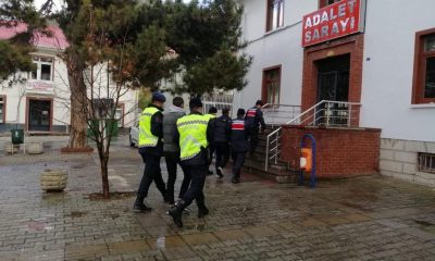 Koyun hırsızı 3 şüpheli tutuklandı
