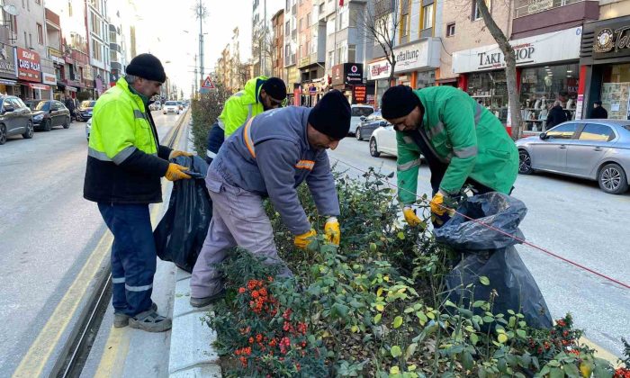 Bozüyük’te park bahçelerde bakım ve temizlik çalışmaları sürüyor