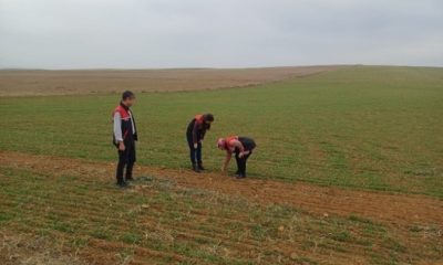Arazi denetimleri ve çiftçi bilgilendirme toplantıları yapıldı