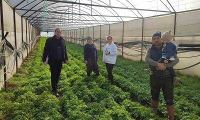Simav’da seralarda kontrol ve örtü altı kayıt güncelleme işlemleri