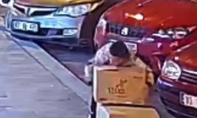 Boyu kadar ayakkabı kolisini çalıp kayıplara karıştı