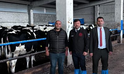 Eskişehir Damızlık Sığır Yetiştiriciler Birliği’ne ‘Hastalıktan Ari İşletme Sertifikası’