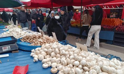 Vatandaşları çeşit çeşit mantarlara ilgi gösteriyor
