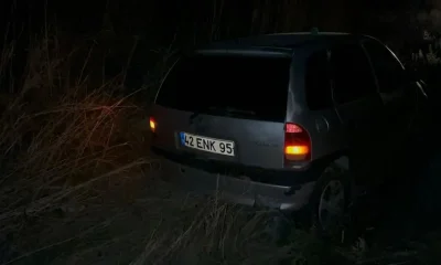 Kontrolden çıkan otomobil şarampole girip tepeciğe çarparak durabildi