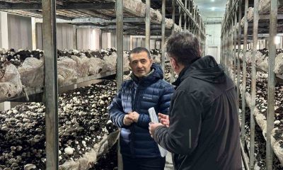 Emirdağ OSB’deki işletmeler faaliyetlerine devam ediyor