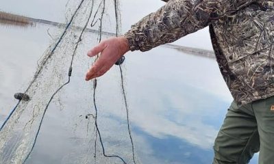 Göllerde kaçak avcılıkla mücadele sürüyor