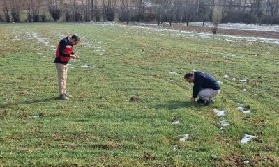 Kütahya’da buğday tohumlarının arazide ekiliş ve çimlenme kontrolleri