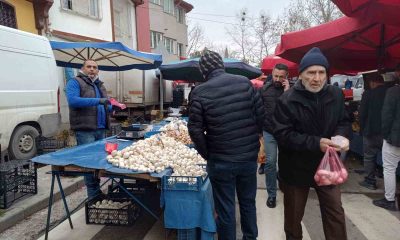 Vatandaşları çeşit çeşit mantarlara ilgi gösteriyor