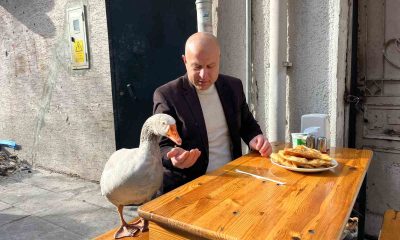 12 yıllık kazı ile Eskişehir’i gezdi, çi börek yedi