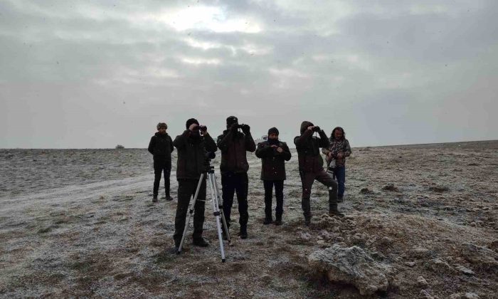 ’Kış Ortası Su Kuşu Sayımı’ gerçekleştirildi
