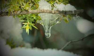 Kartpostallık manzara eşliğinde yürüyüş yaptılar