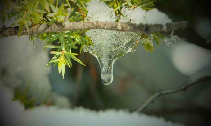 Kartpostallık manzara eşliğinde yürüyüş yaptılar