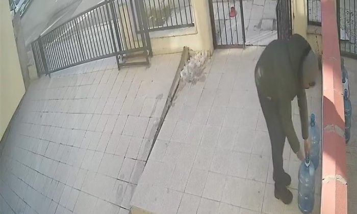 Damacana üzerinde duran su parasına göz dikti