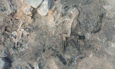 Türkiye’de yılın en önemli arkeolojik keşfi seçildi