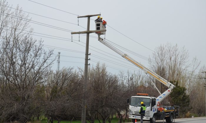 Elektrik dağıtım sistemi bakımdan geçti, planlı kesintiler yüzde 12,5 azaldı