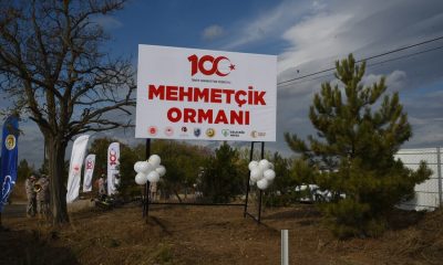 Eskişehir Orman Bölge Müdürlüğü 2023 yılında 1 milyon 264 bin fidan dikti